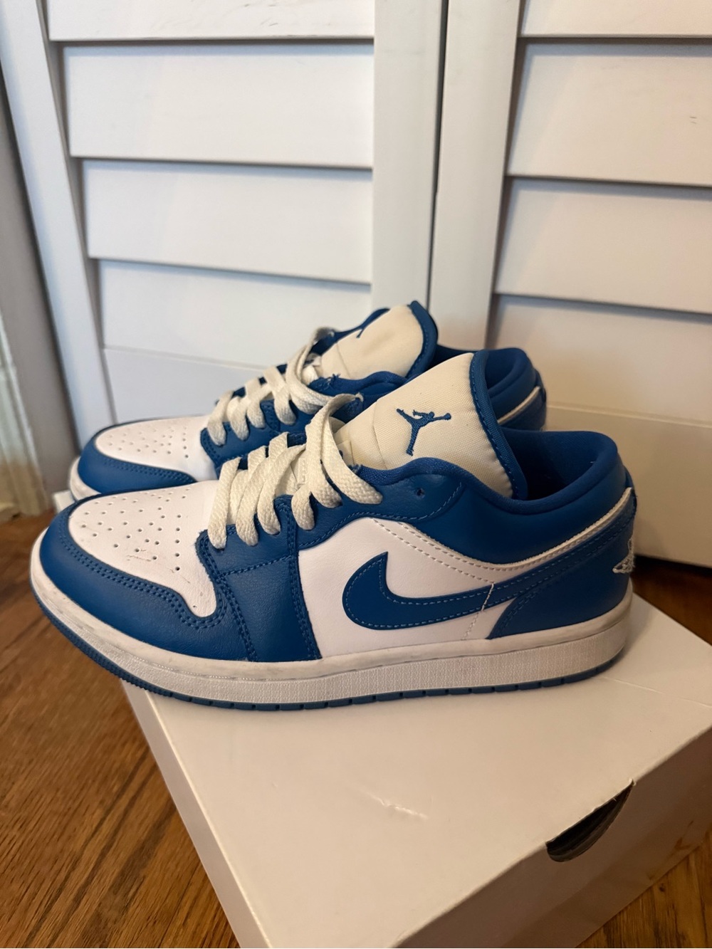 Jordan 1s low (Blue and White